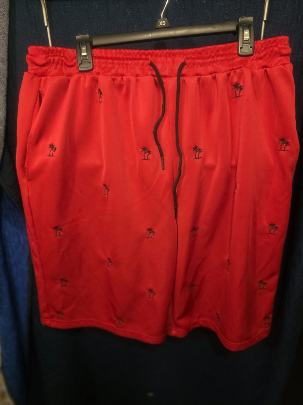 Men's Red Athletic Drawstring Shorts with Palm Embroidery